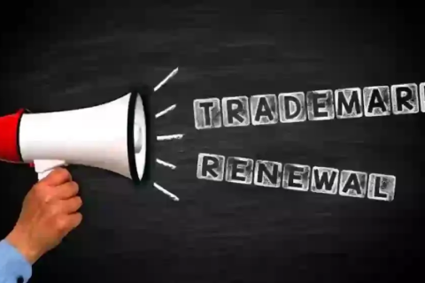 How to file a trademark renewal?