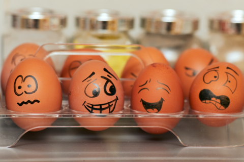 JUST EGG Trademark Rejected in EU for Misleading Name