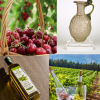 Preserving Lebanon’s Heritage and Economy through Geographical Indications