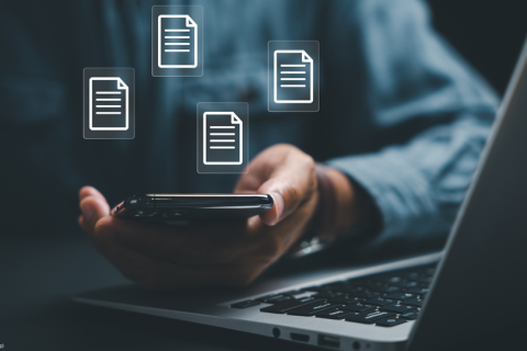 UAE Implements Nice Classification – 13th Edition